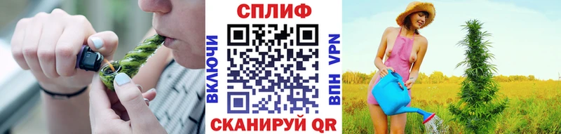 МЕГА ONION цены Болотное Бошки марихуана конопля